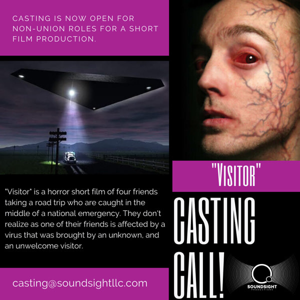 Visitor Casting Call